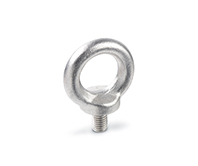 DIN 580-Lifting Eye Bolts